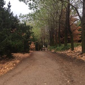 Meet your Posher, Tessa